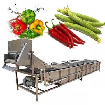Lave-linge industriel pour fruits et légumes